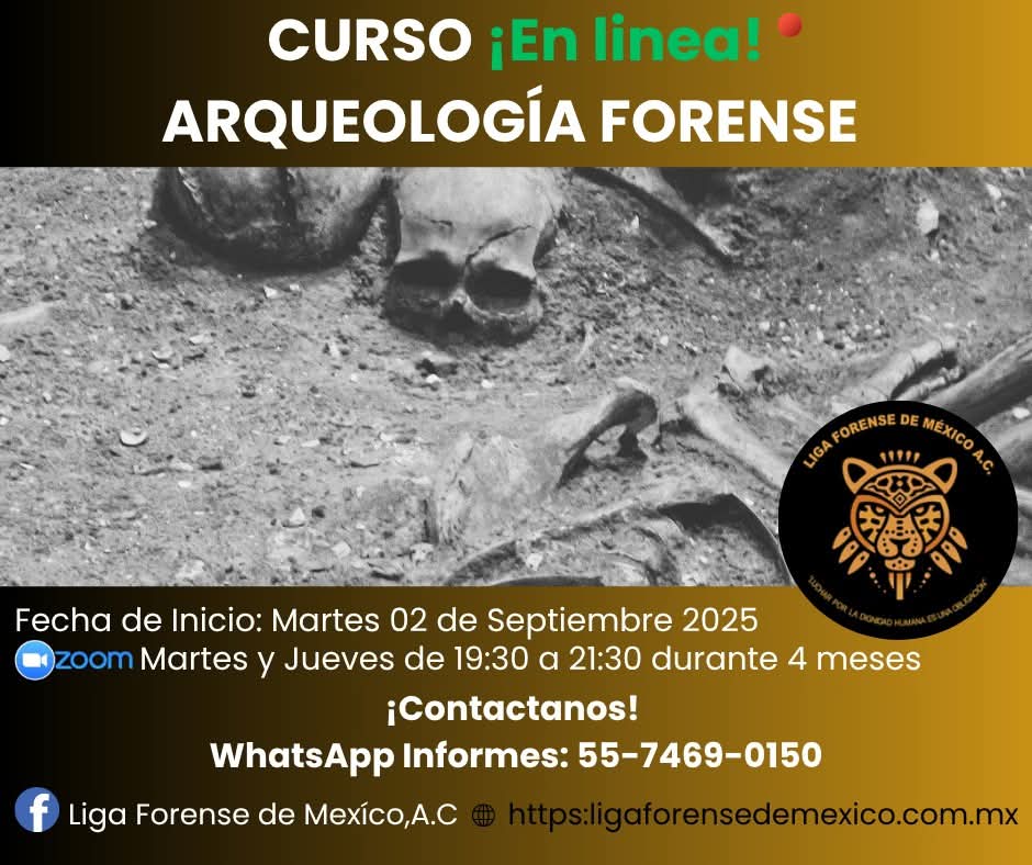 Curso 2